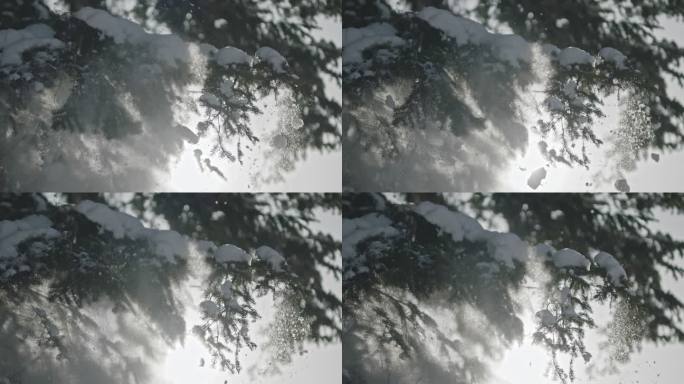 A002C019_191117_R32W