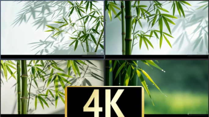竹子 竹林 竹影 毛竹 写意 意境 水墨