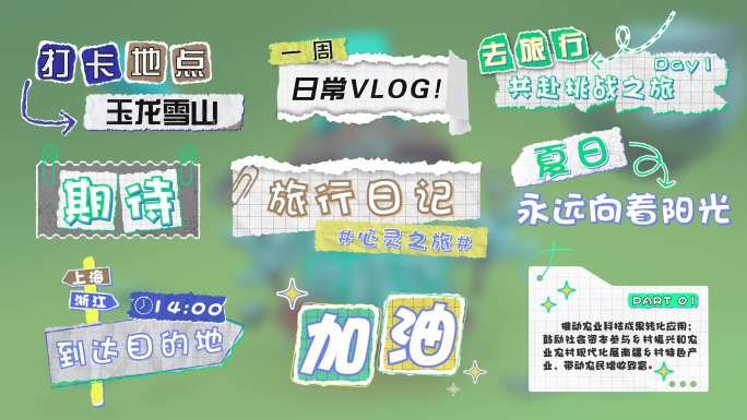 4K MG 综艺拼贴时尚花字