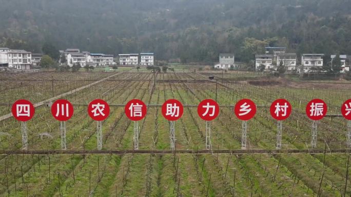 四川农信 助力乡村振兴