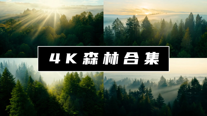 森林航拍森林树木山脉云海绿洲环保氧吧