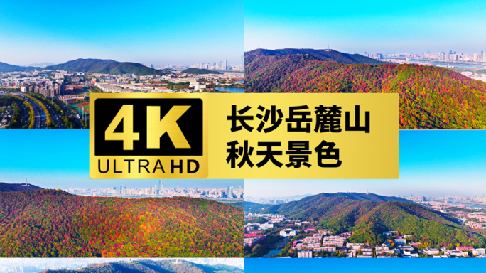 4k长沙岳麓山秋天层林尽染爱晚亭红枫