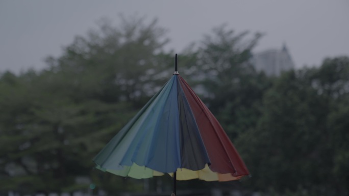 撑开一把彩虹伞
