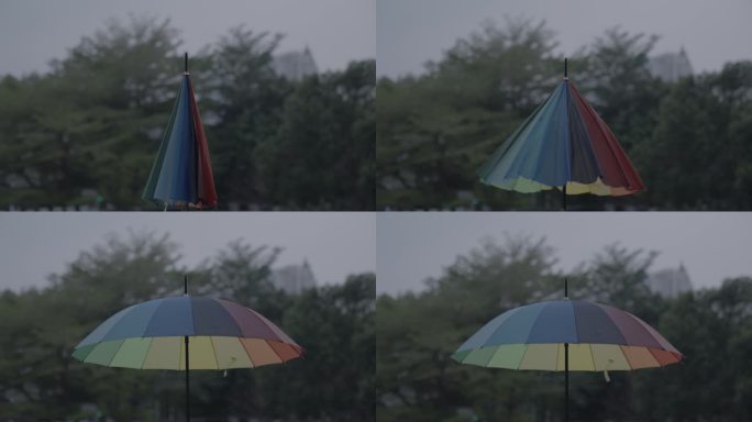 撑开一把彩虹伞