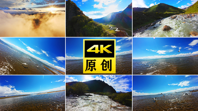 一只海鸥飞鸟候鸟飞翔风光湖泊纳木错风景