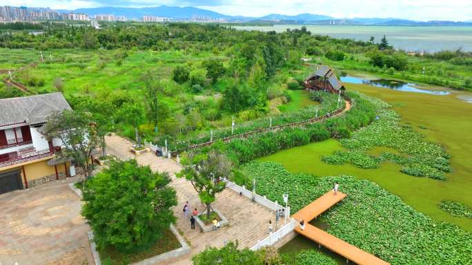 昆明斗南湿地公园