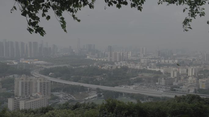 城市公园的自然风景