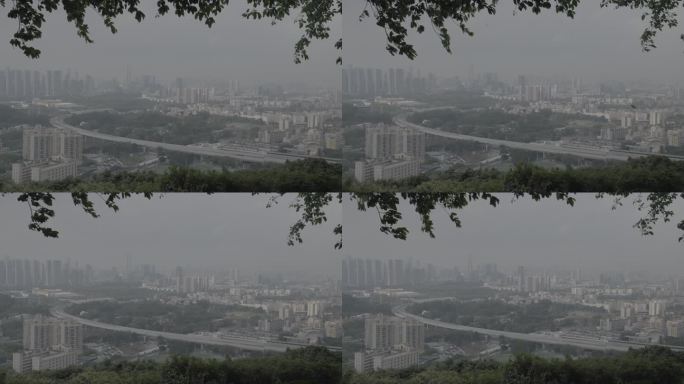 城市公园的自然风景