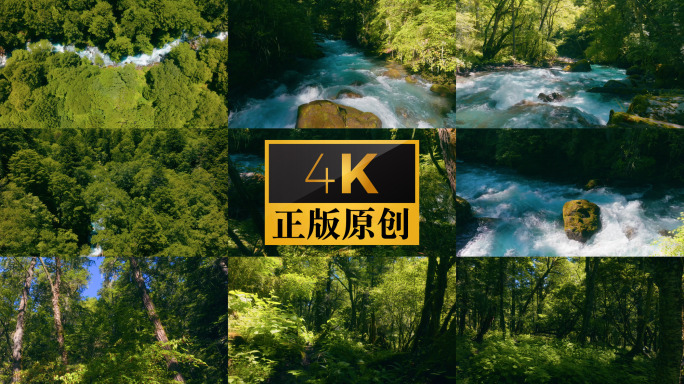 航拍原始森林小溪树林光影