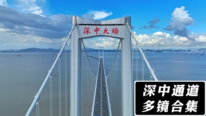 深中大桥字样logo05