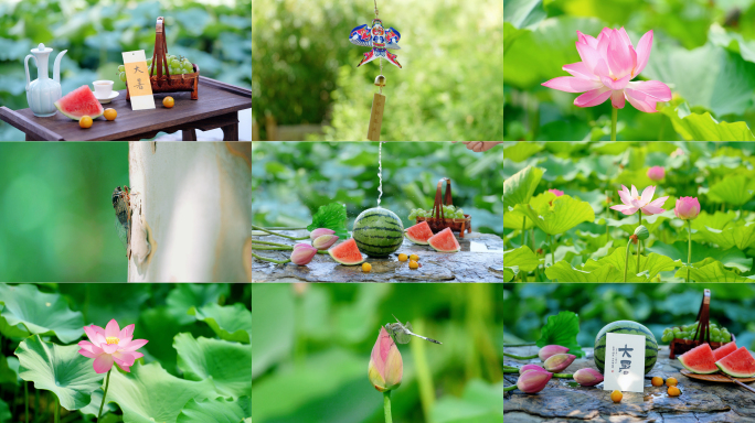 大暑 节气