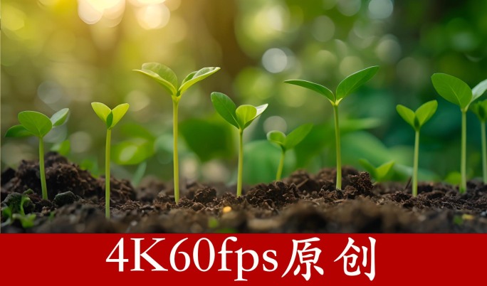 万物复苏 植物生长 花开 发芽