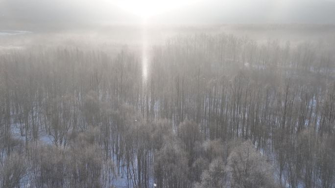 航拍飘落雪晶的阳光雪林