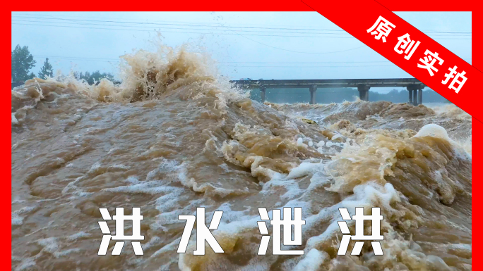 洪水 北方河流泄洪 淮河流域沭河