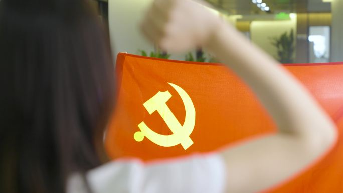 多种公务员宣誓入党 戴党徽 党建文化元素