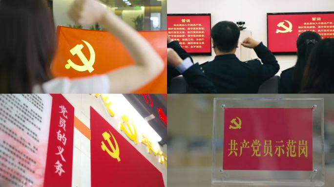 多种公务员宣誓入党 戴党徽 党建文化元素