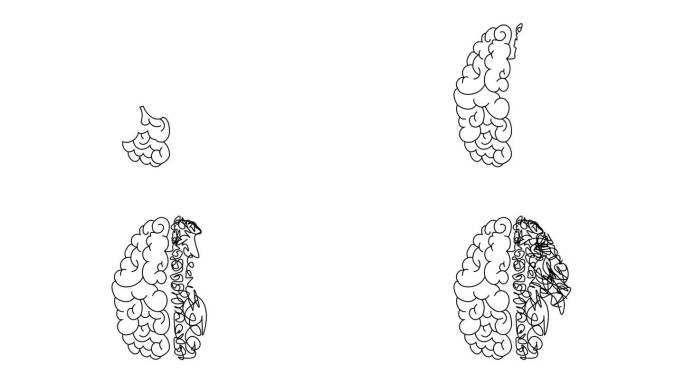 隐喻概念。有组织的vs无组织的头脑，人脑半逻辑和创造性对抗半混乱混乱的纠缠。绘制连续的线条动画。