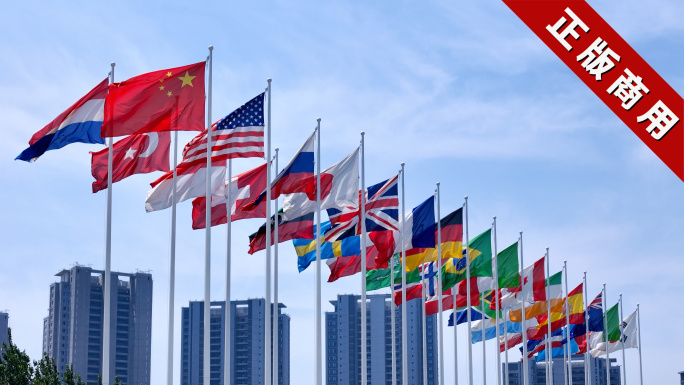 各旗帜飘扬联合国旗飘扬一带一路G20国际