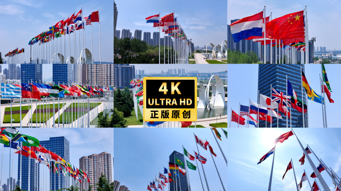 各旗帜飘扬联合国旗飘扬一带一路G20国际
