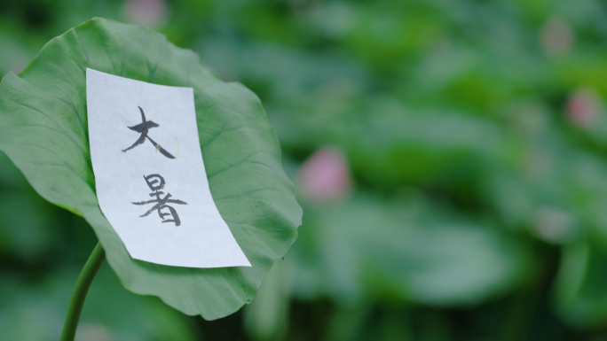 大暑 大暑节气 夏天 夏日空镜