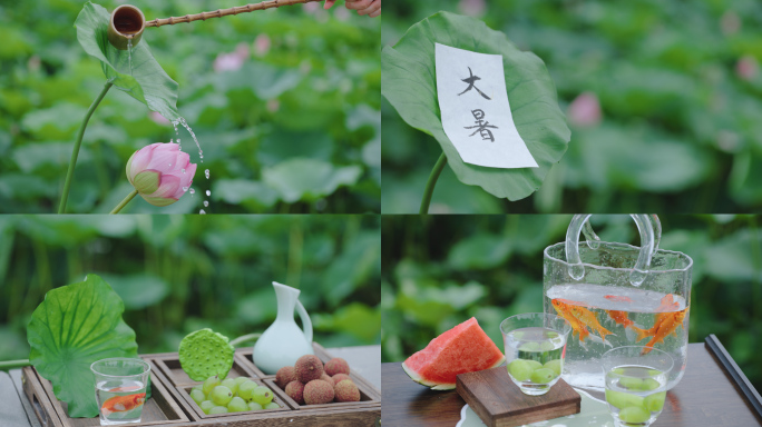 大暑 大暑节气 夏天 夏日