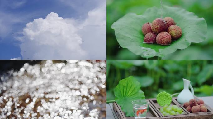 大暑 大暑节气 唯美夏天 夏日风景