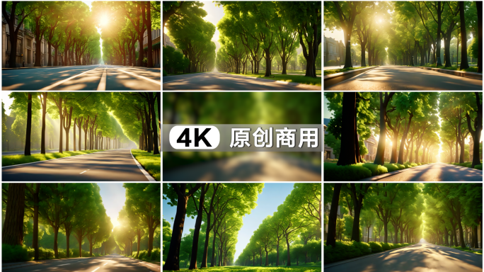 校园树荫 校园绿化 学院绿地 学校花园