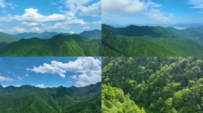 秦岭森林航拍 山延时航拍 森林道路