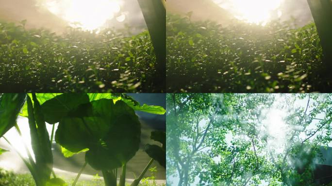 园林绿植小景 地产园林景观 小区绿化小景