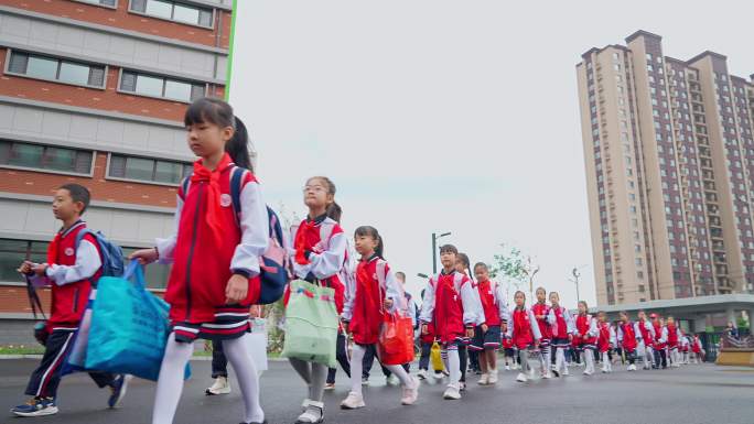 早晨小学生打卡进校园