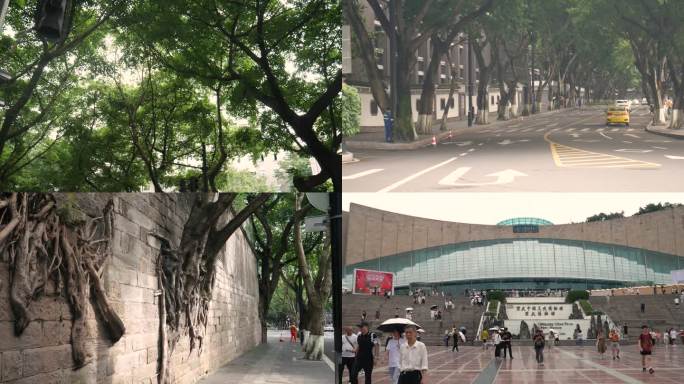 重庆上清寺中山四路曾家岩大礼堂三峡博物馆