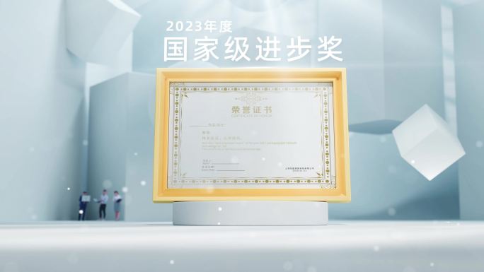 高端大气简洁荣誉专利资质证书包装金色