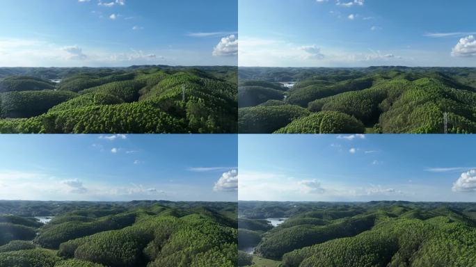 航拍森林