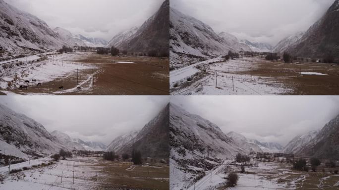 奥依塔克 雪 雪山 4K