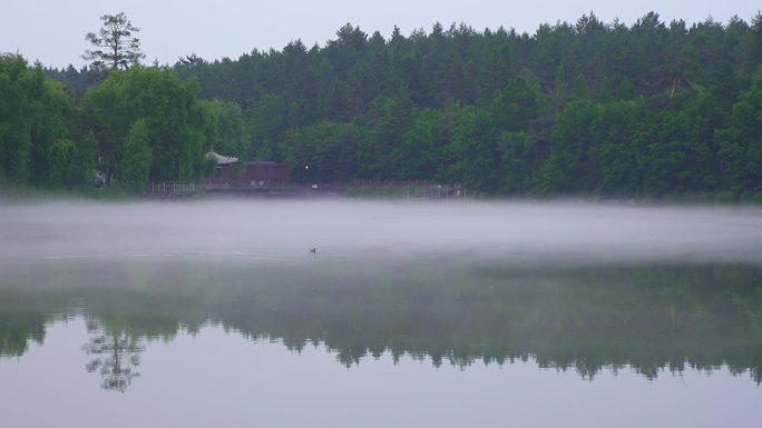 仙境湖面 雾气湖景