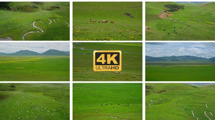 4K草原牧场草原风光航拍草原绿色草原甘南
