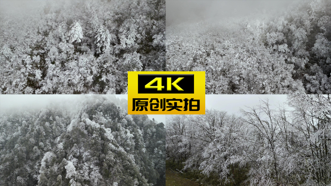 航拍森林 雪淞 霜冻 结冰 严寒冬季雪景