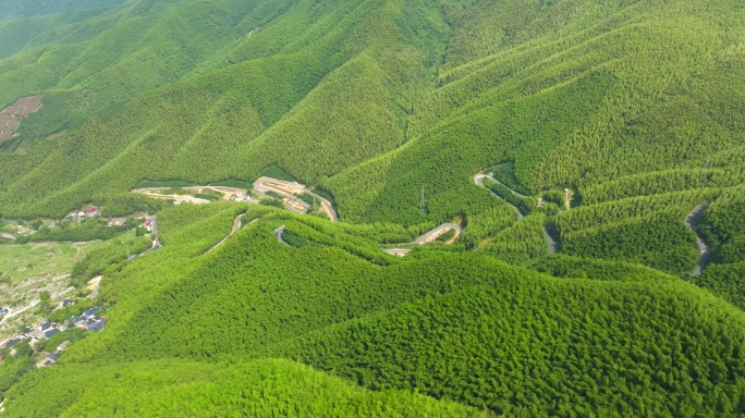德清后坞莫干山