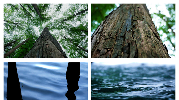 公园里水波纹，禅意的素材