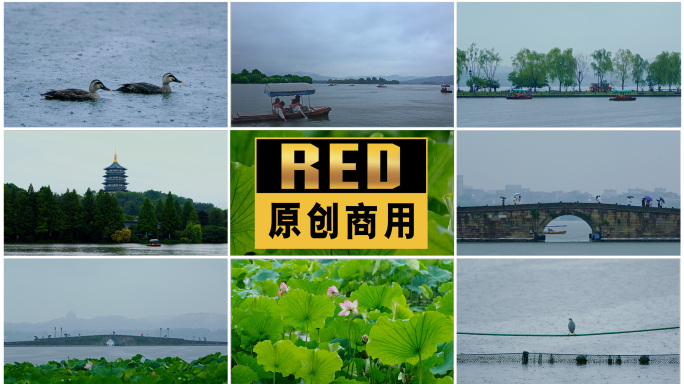杭州西湖唯美雨景雷峰塔