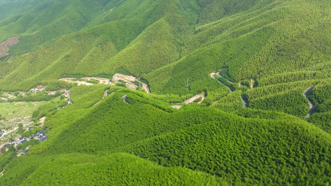 德清后坞莫干山