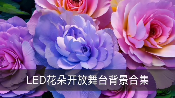6K宽屏LED唯美花朵开放舞台背景