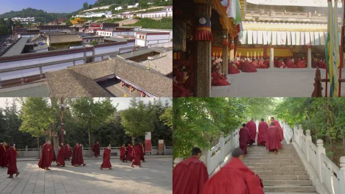 塔尔寺僧人苦修 清净生活