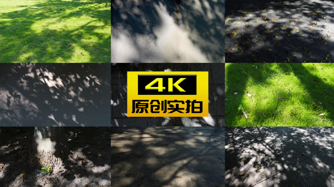 光影 影子 夏天 时光岁月 光阴流逝