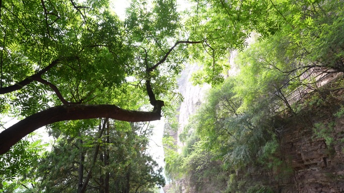 红旗渠精神红旗渠水利