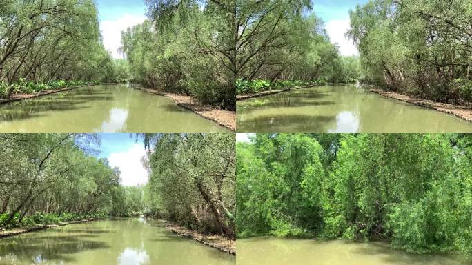 广州南沙湿地公园