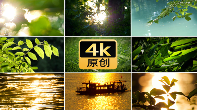 光逆光植被光晕树叶波光粼粼