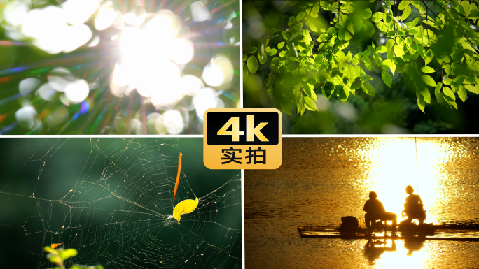 光逆光植被光晕树叶波光粼粼