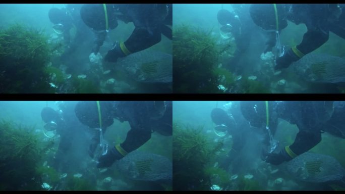 獐子岛 良品 海底VA0