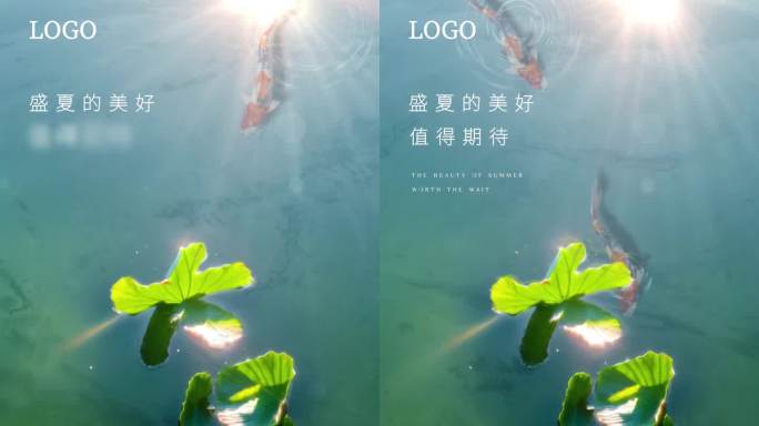 大暑节气动态海报